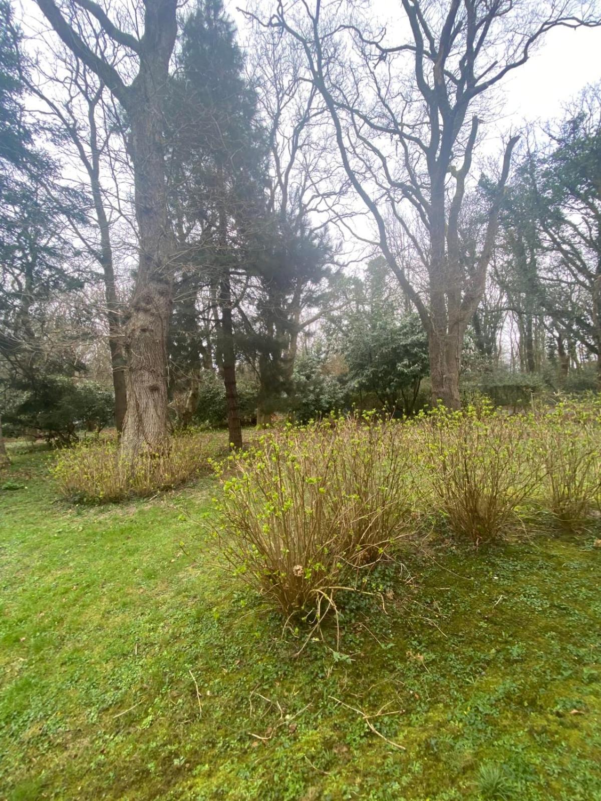 Bg32 - Mer & Bois De Cise Maison Individuelle Avec Grand Jardin Ault Εξωτερικό φωτογραφία